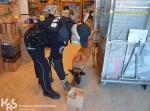 Funkcjonariusz KAS i pies służbowy pochyleni nad kartonem w sortowni paczek
