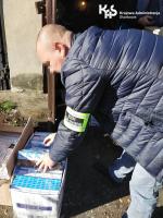 Funkcjonariusz pochyla się nad kartonem wypełnionym paczkami papierosów.