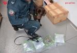 Funkcjonariusz kuca przy nim stoi pies przy nich zatrzymane worki z marihuaną, w tle kartony.